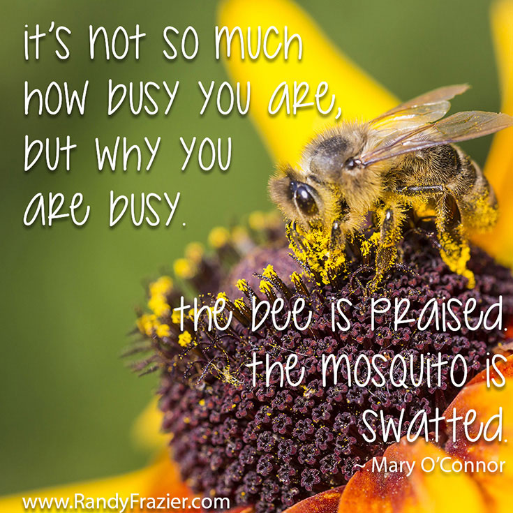 Mary O'Connor Quote