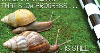 Progress Quote