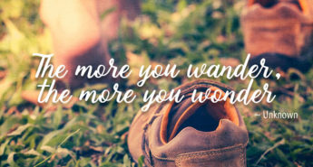 Wonder Wander Quote
