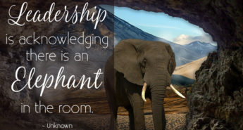 Elephant in the Room quote