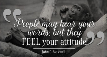 John C. Maxwell Quote