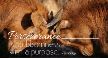Josh Shipp Quote