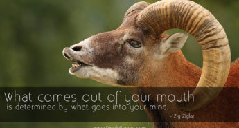 Zig Ziglar Quote
