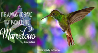 Amelia Barr Quote