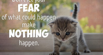 Quote about Fear