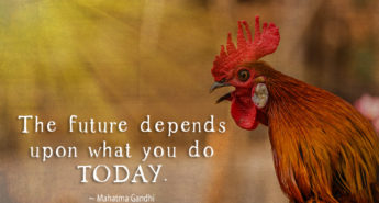 Mahatma Gandhi Quote