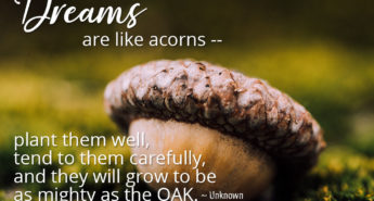 Dreams are Like Acorns Quote