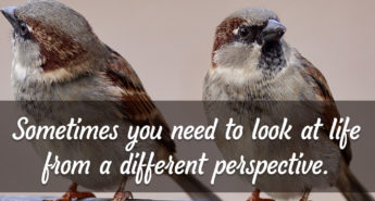 Quote about Perspective