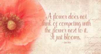 Zen Shin Quote