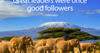 Quote about Great Leaders