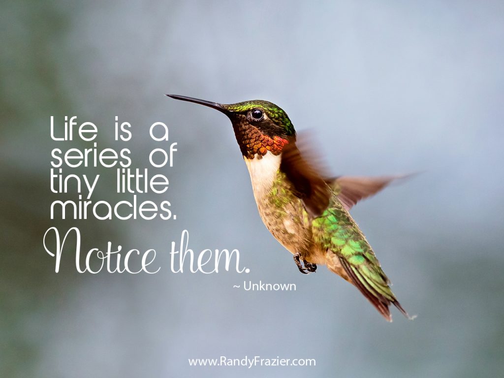 Quote about Miracles