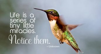 Quote about Miracles