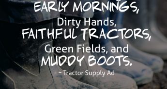 Tractor Supply ad quote