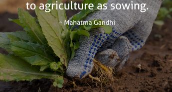 Mahatma Gandhi Quote