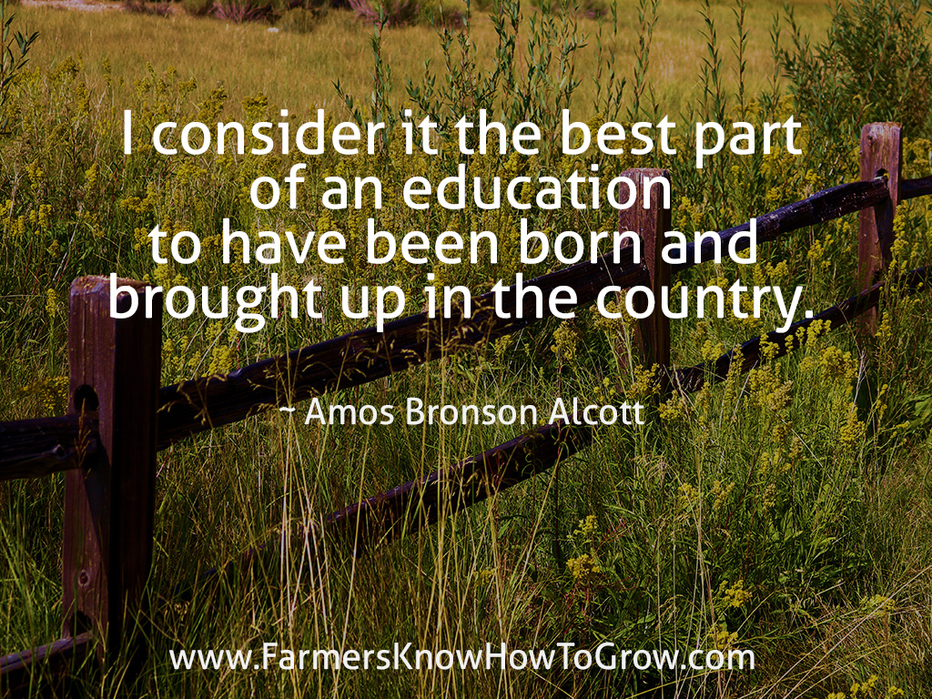 Amos Alcott Quote