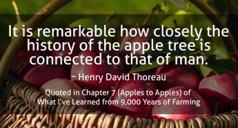 Henry David Thoreau Quote