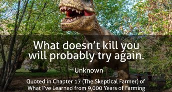 What Doesn't Kill You Quote