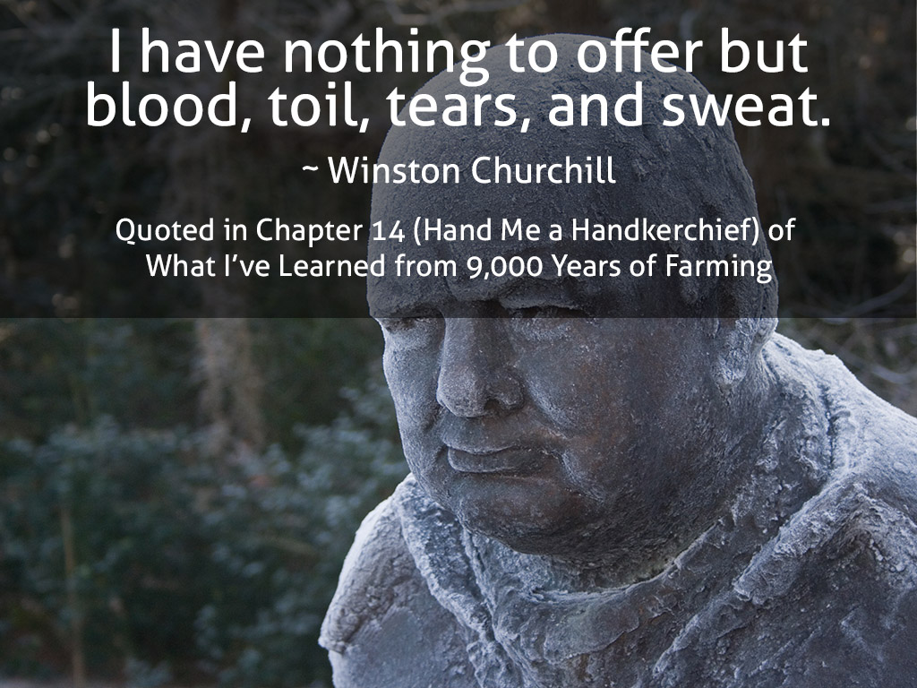 Winston Churchill Quote