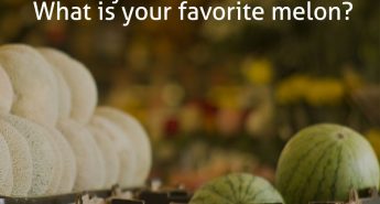 July is Melon Month