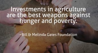 Bill and Belinda Gates Foundation Quote