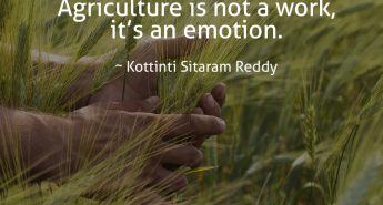 Kottinti Sitaram Reddy Quote