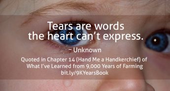 Quote about Tears