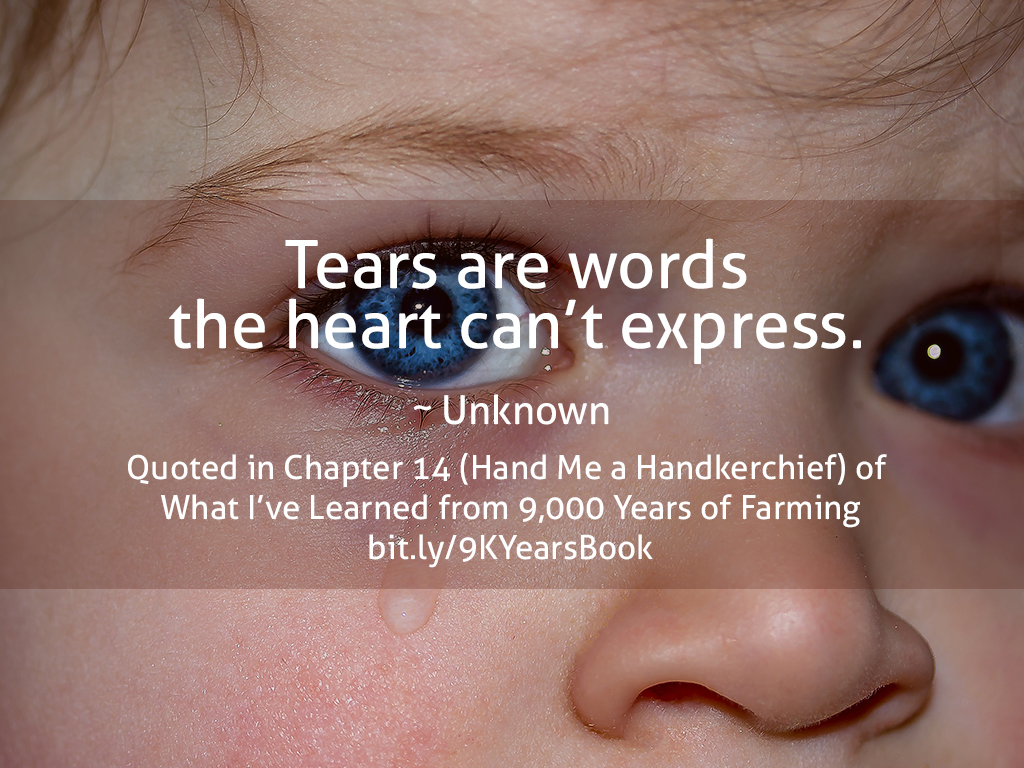 Quote about Tears