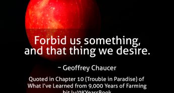 Geoffrey Chaucer Quote