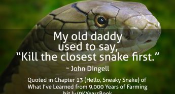 John Dingell Quote