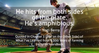 Yogi Berra Quote