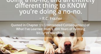 Quote about No-Nos