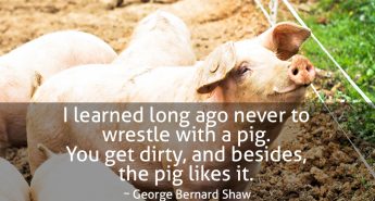 George Bernard Shaw Quote