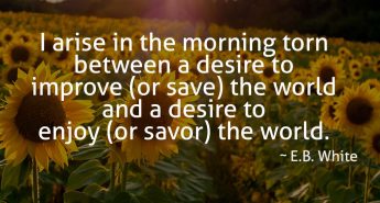 E.B. White Quote