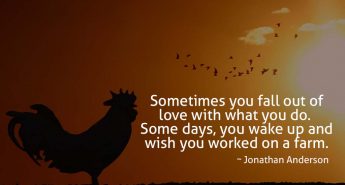 Jonathan Anderson Quote