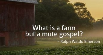 Ralph Waldo Emerson Quote