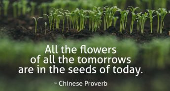 Chinese Proverb