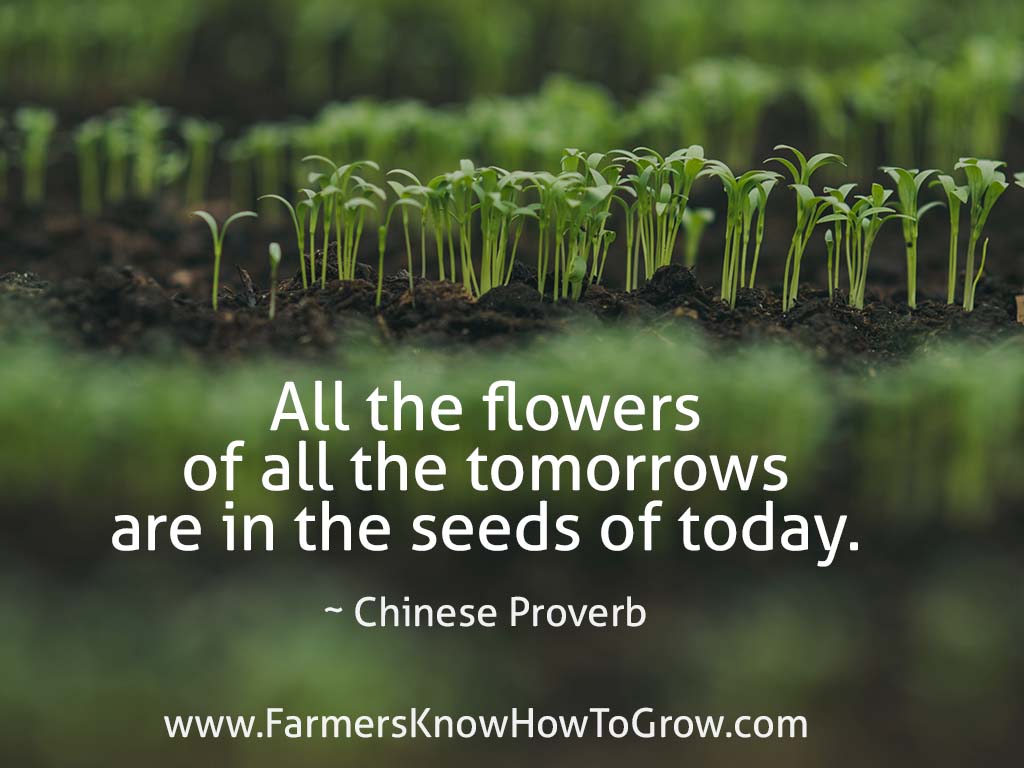 Chinese Proverb