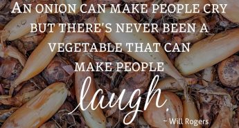 Will Rogers Quote