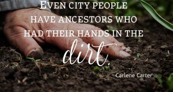 Carlene Carter Quote