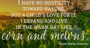 Ralph Waldo Emerson Quote