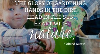 Alfred Austin Quote