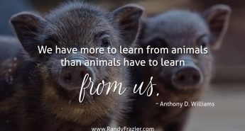 Anthony D. Williams Quote