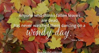 Shira Tamir Quote