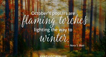 Nova S. Blair Quote
