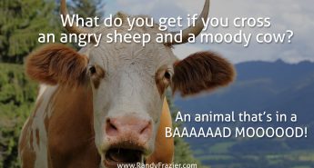 Farm Humor