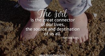 Wendell Berry Quote