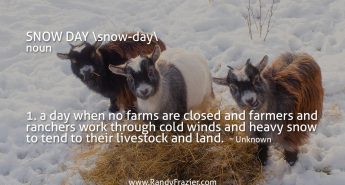 Winter on the Farm