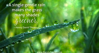 Henry David Thoreau Quote