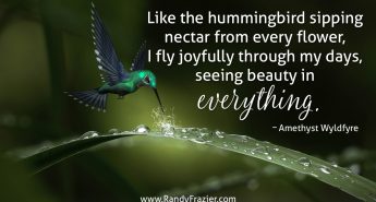 Amethyst Wyldfyre Quote