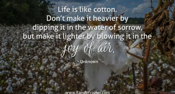 Quote about Cotton